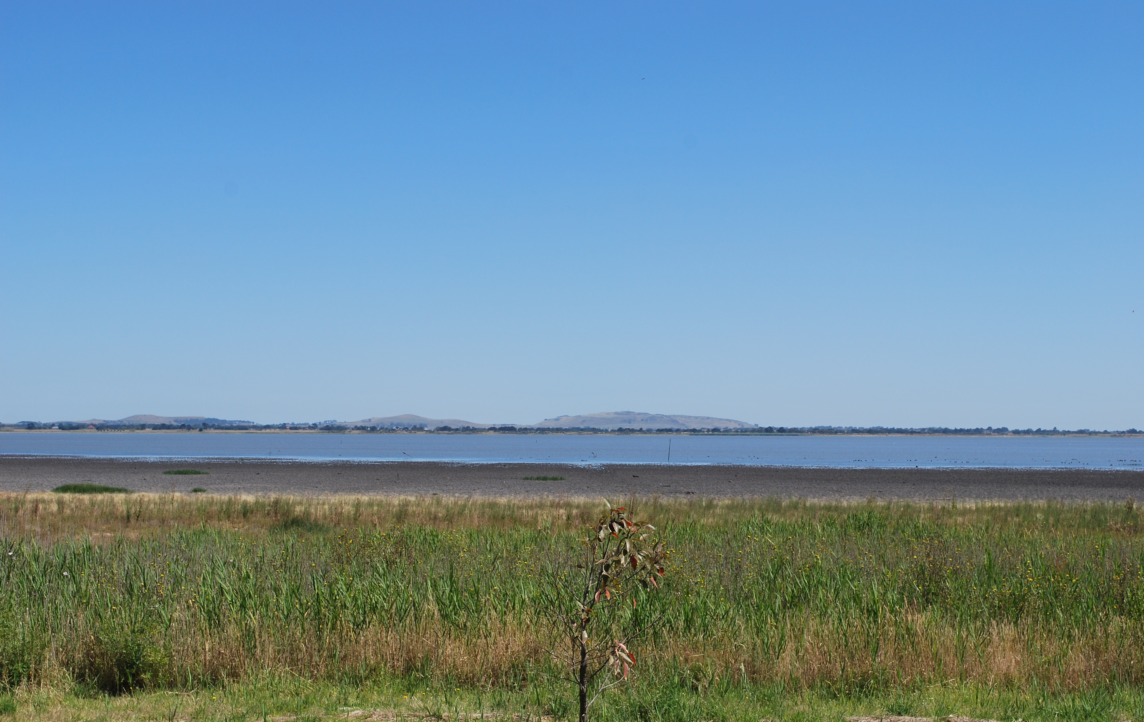 Colac Image 1